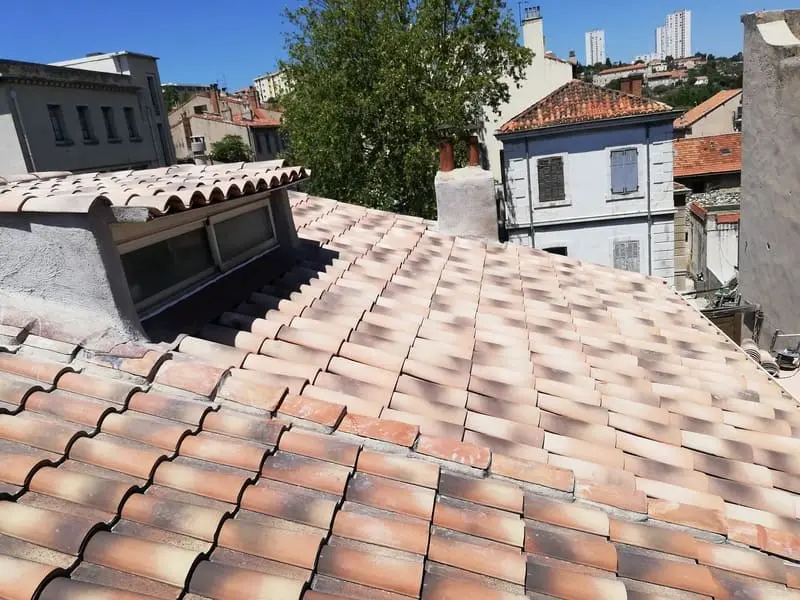 Nettoyage de toiture